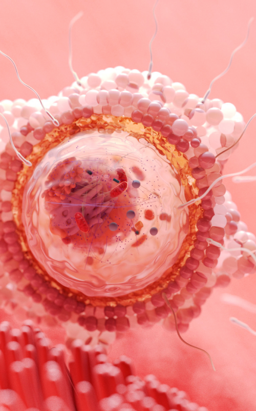 Design sem nome (1).png